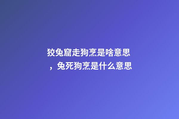 狡兔窟走狗烹是啥意思，兔死狗烹是什么意思-第1張-觀點-玄機派